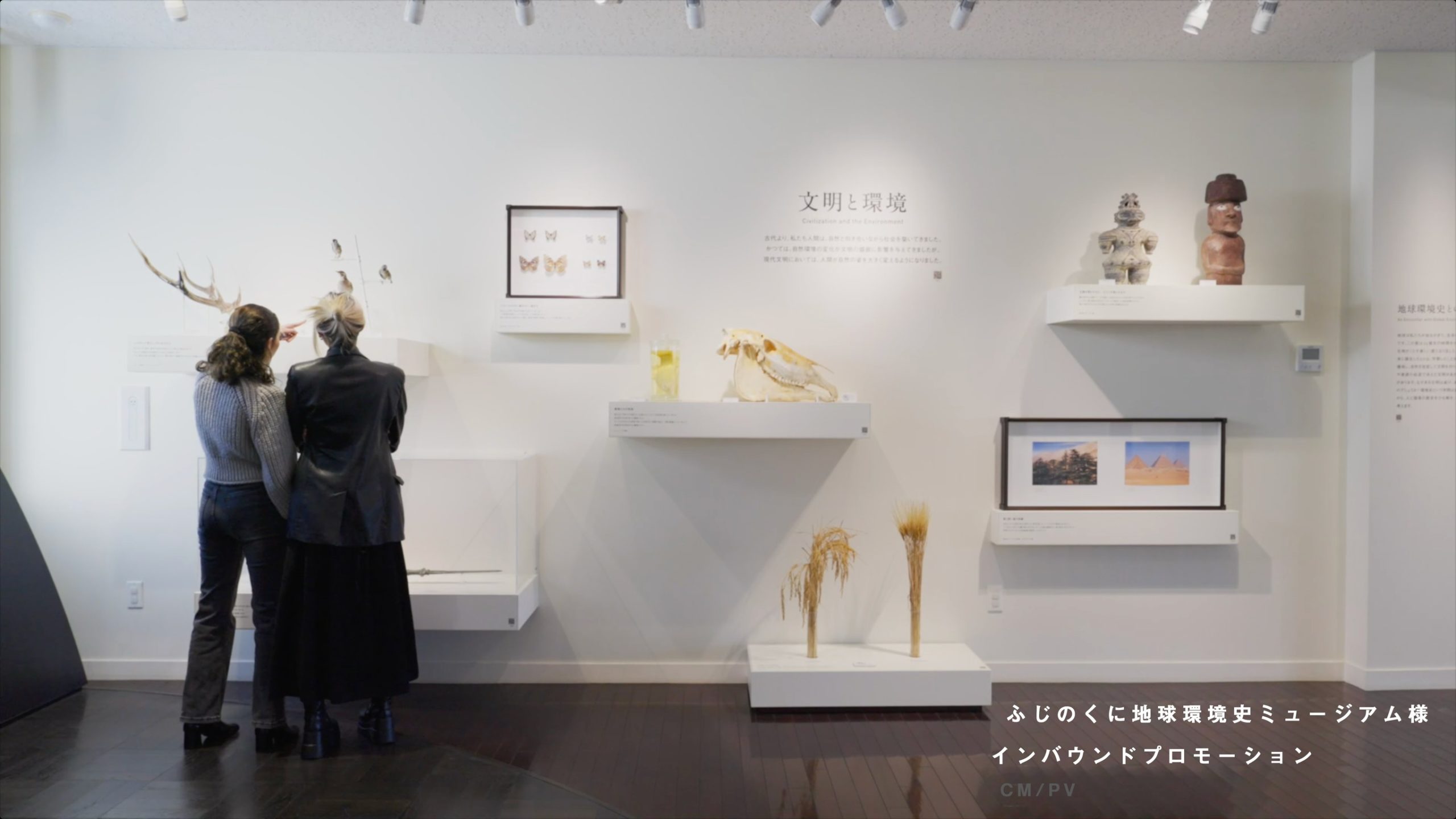 ふじのくに地球環境史ミュージアム